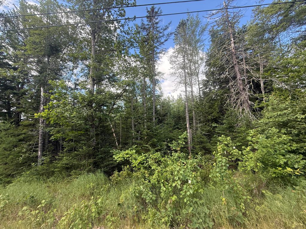 Photo of Lot #5 Russell Hill Road, Bucksport, ME 04416 (MLS # 1672568)