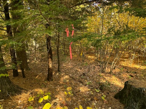 Photo of 4acres Deering Ridge Road, Waterboro, ME 04087 (MLS # 1684504)
