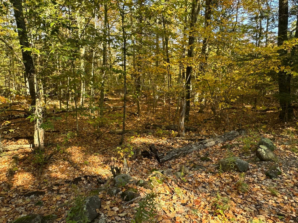 Photo of 4acres Deering Ridge Road, Waterboro, ME 04087 (MLS # 1684504)