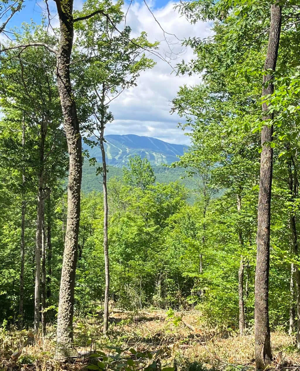 Photo of R03-008 Scribe Way, Newry, ME 04261 (MLS # 1678655)