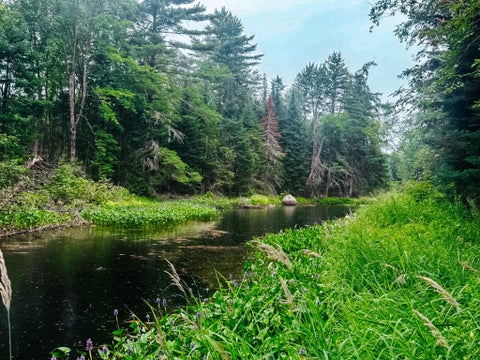Photo of 2539 Edinburg Road, Argyle Twp, ME 04468 (MLS # 1672521)