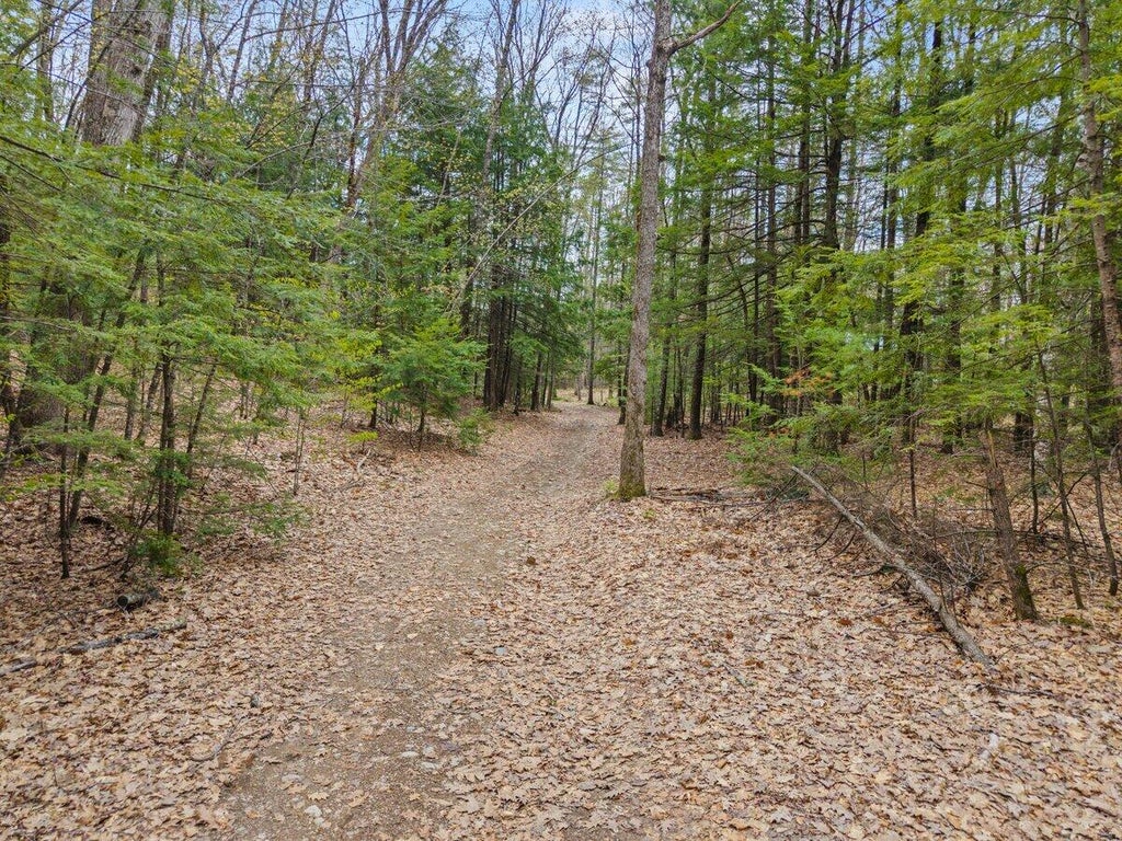 Photo of 31A-4 Trafton Way, Hiram, ME 04041 (MLS # 1669598)