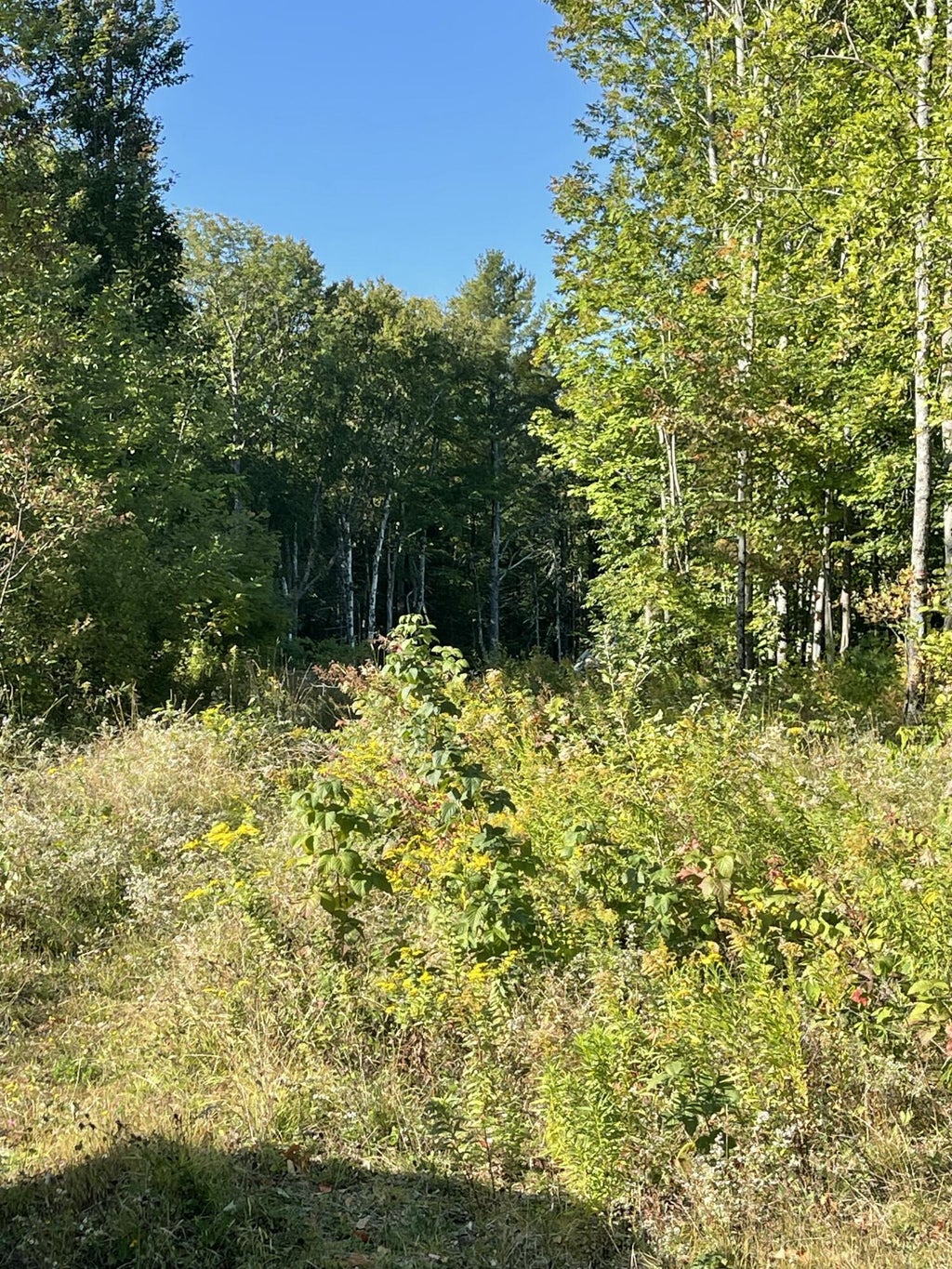 Photo of 155 N Guilford Road, Monson, ME 04464 (MLS # 1680371)