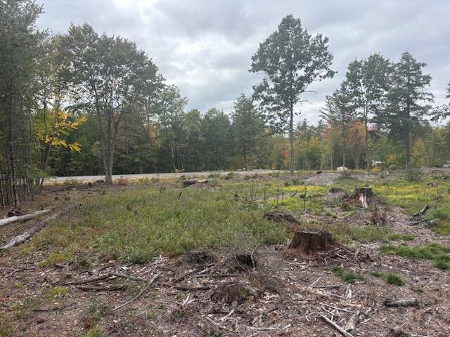 Photo of Lot #2 Branch View, Alfred, ME 04002 (MLS # 1683688)