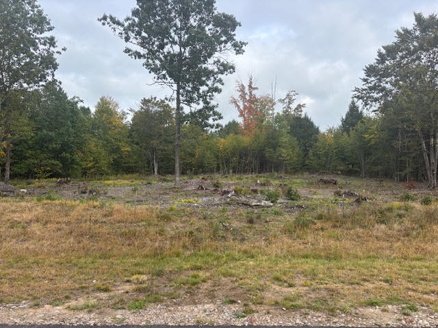 Photo of Lot #2 Branch View, Alfred, ME 04002 (MLS # 1683688)