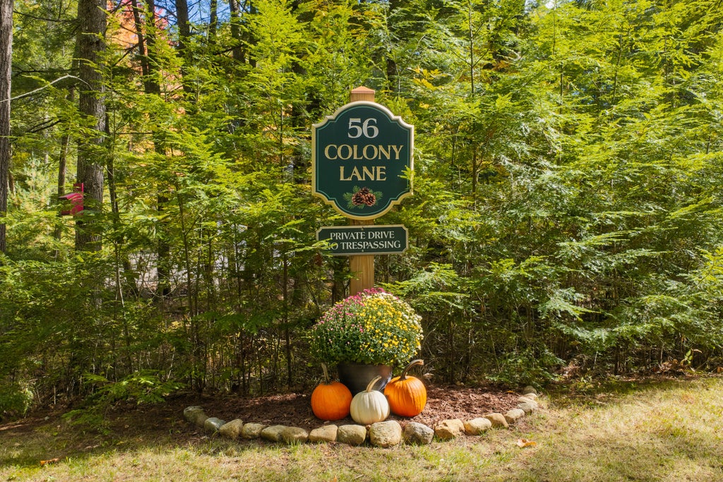 Photo of 56 Colony Lane, Naples, ME 04055 (MLS # 1683070)