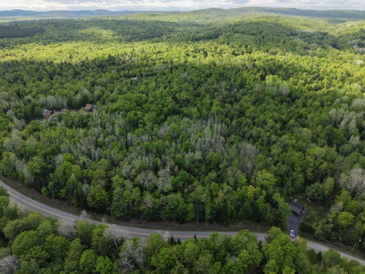 ADDRESS PRIVATE, PISCATAQUIS COUNTY, ME  - Image 9263fddbc4dde5a011723e9e44fd5f13/828637501