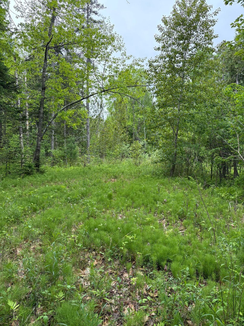 Photo of TBD Fitz Road #001-018, Kenduskeag, ME 04450 (MLS # 1664438)