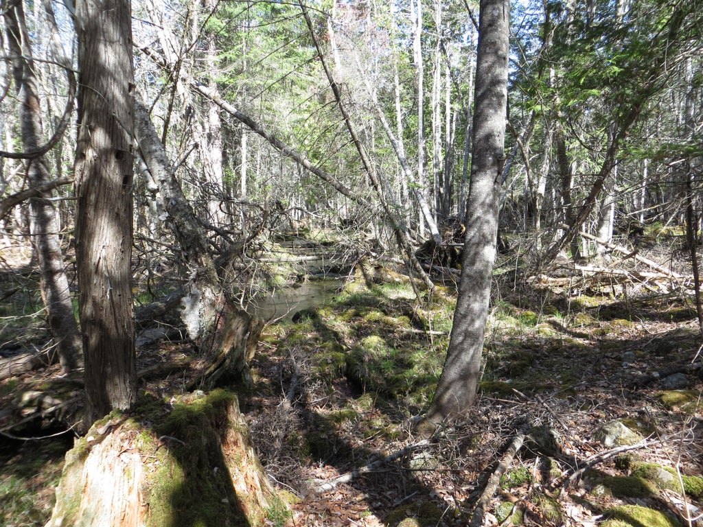 Photo of TBD Fitz Road #001-018, Kenduskeag, ME 04450 (MLS # 1664438)
