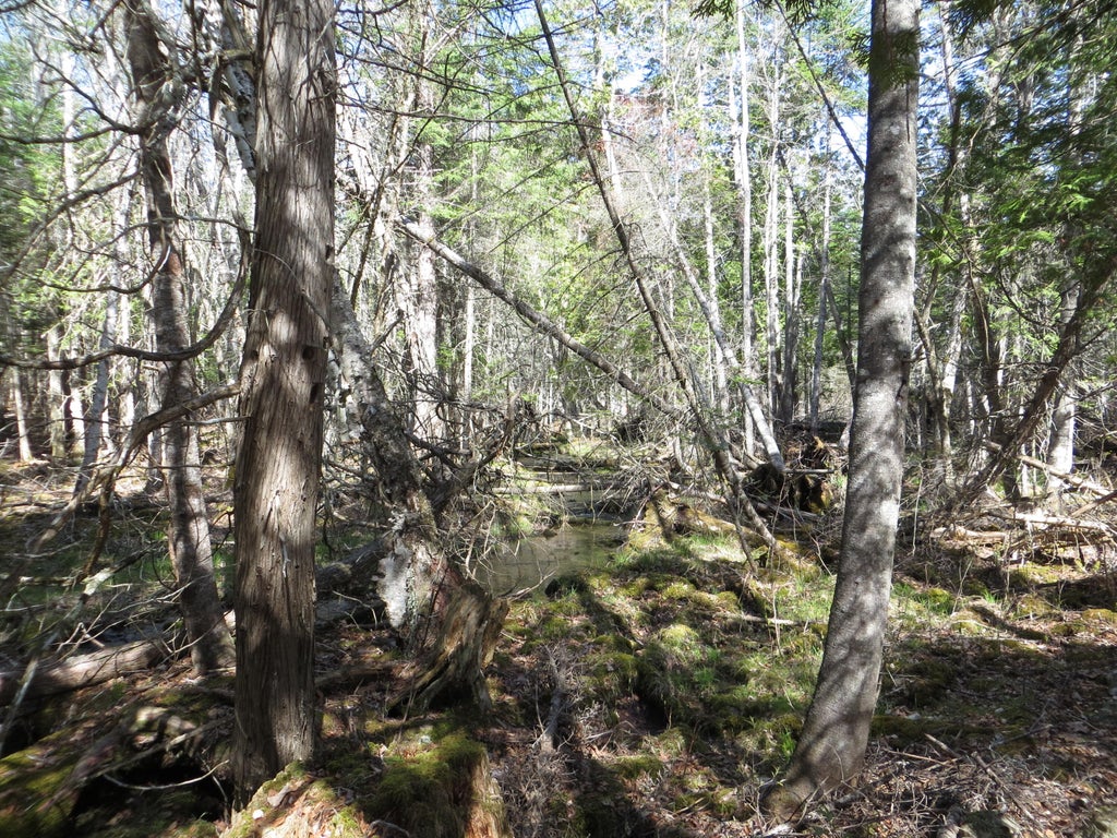 Photo of TBD Fitz Road #001-018, Kenduskeag, ME 04450 (MLS # 1664438)