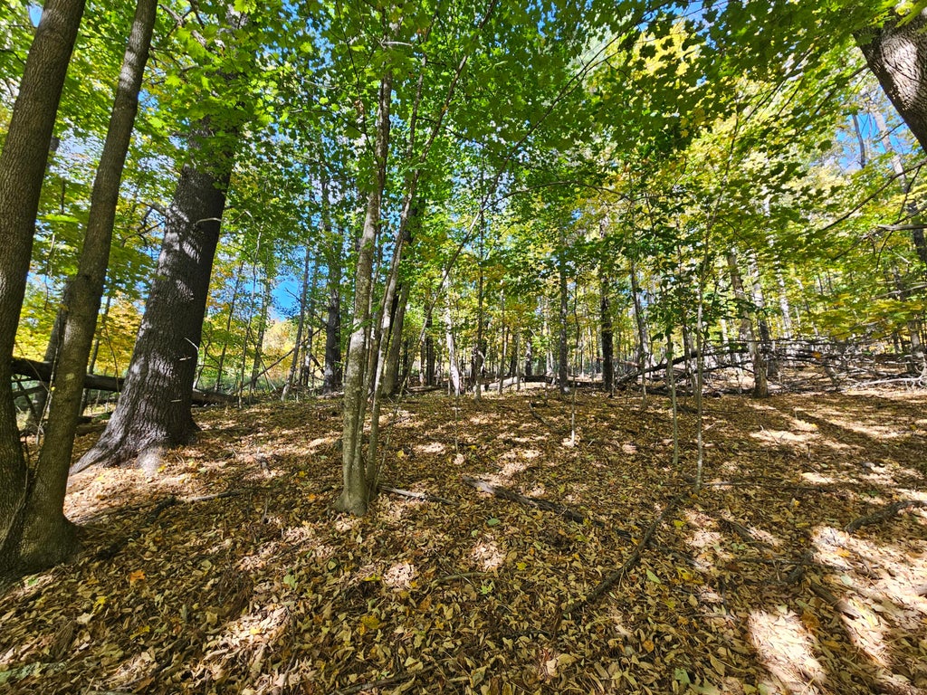 Photo of R-5 13-A Norton Hill Road, Strong, ME 04983 (MLS # 1639128)