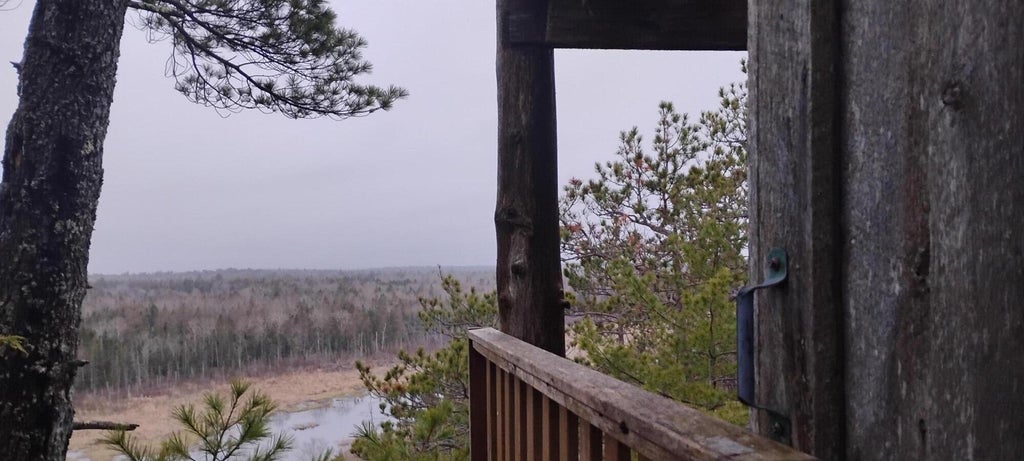 Photo of 162 Ayer's Junction Road, Pembroke, ME 04666 (MLS # 1661024)