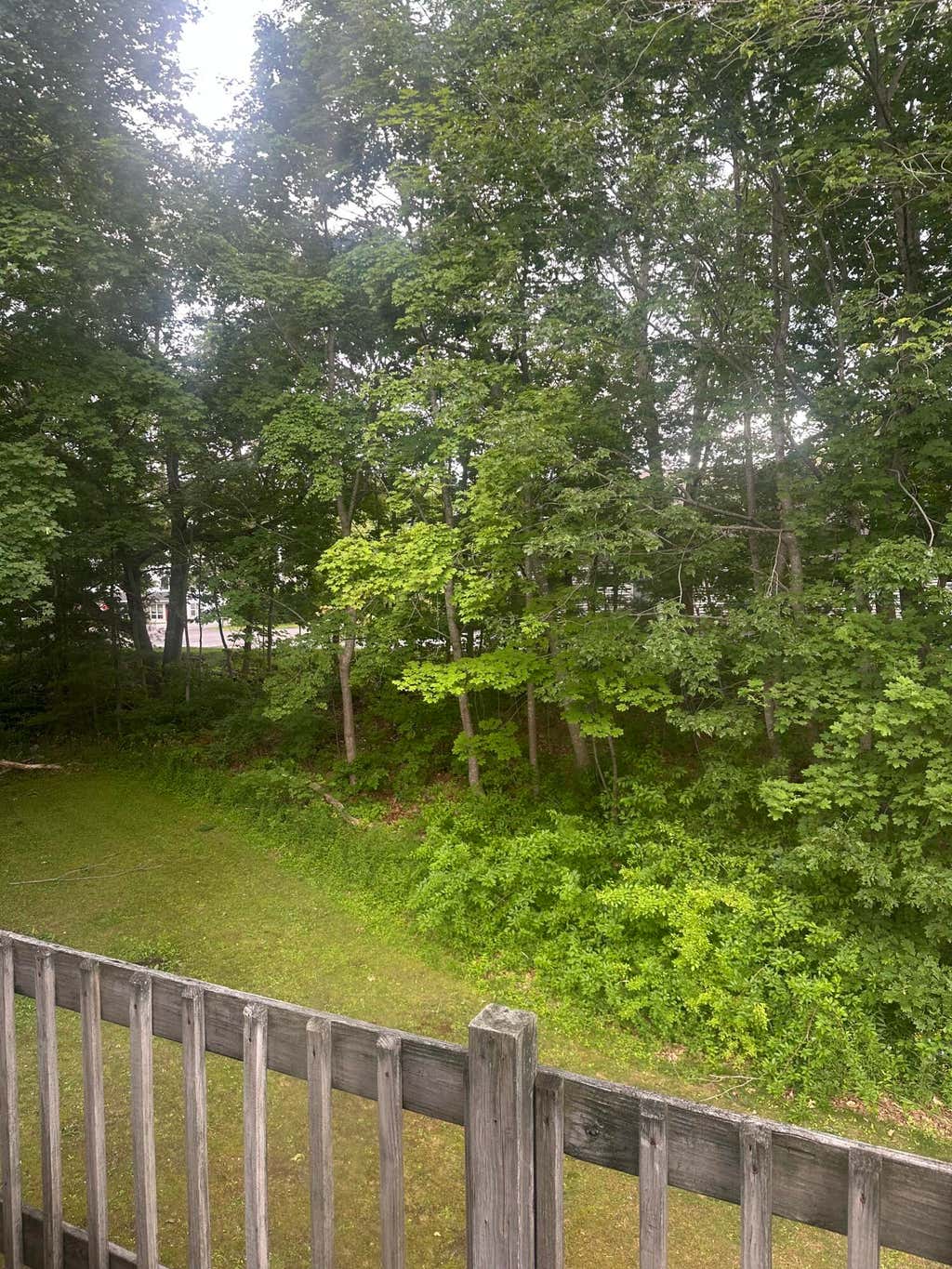 Photo of 8 Lupine Lane #8, Bath, ME 04530 (MLS # 1671614)