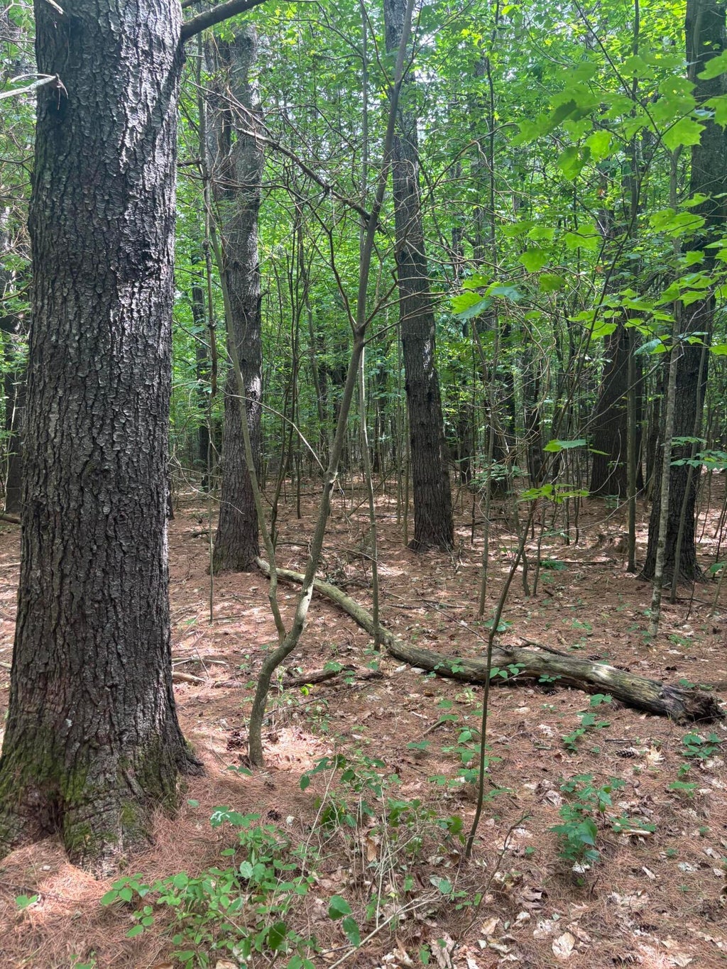 Photo of Lot 28 Troy Road, Burnham, ME 04922 (MLS # 1677218)