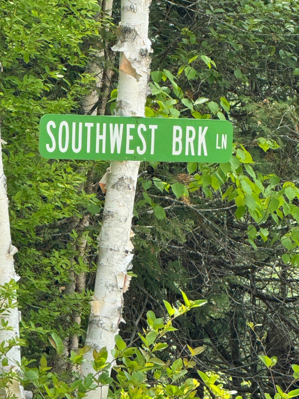 Photo of 44 SW SW Brook Lane, Beddington, ME 04622 (MLS # 1665307)
