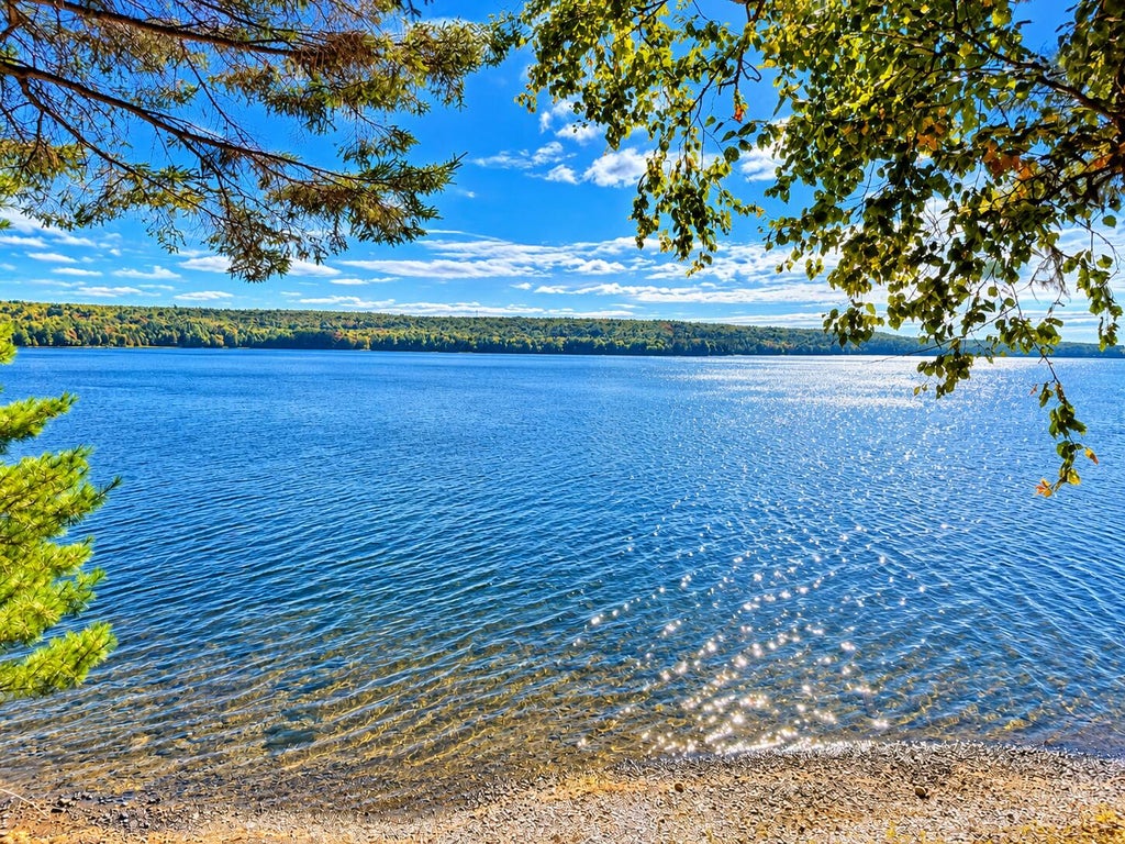 Photo of 116 Lakeview Lane, Crawford, ME 04694 (MLS # 1679495)