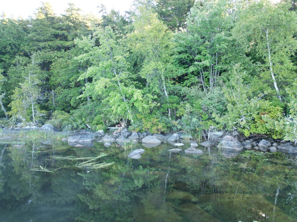 Photo of 34 Merganser Lane, Lincoln, ME 04457 (MLS # 1680656)