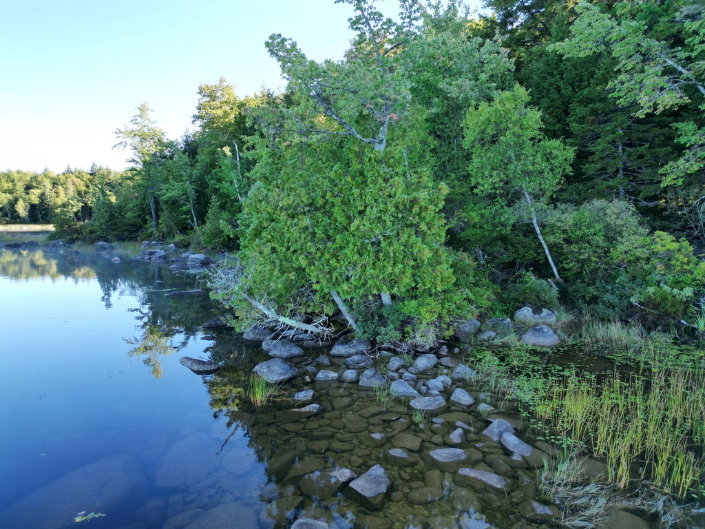 Photo of 34 Merganser Lane, Lincoln, ME 04457 (MLS # 1680656)