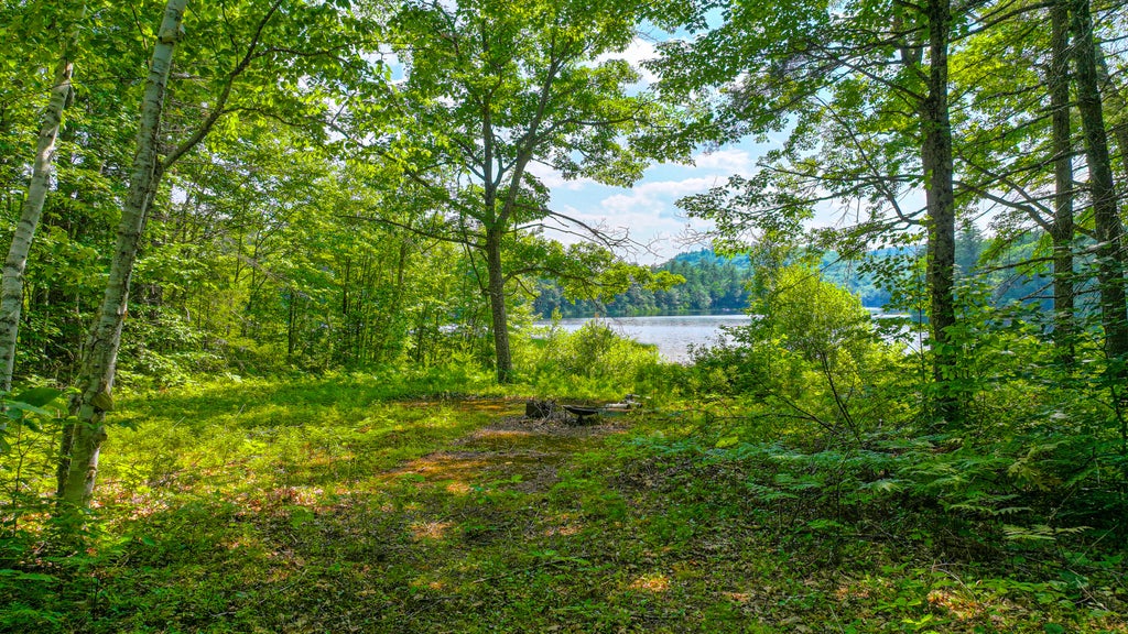 Photo of 84 Kezars Ridge, Waterford, ME 04088 (MLS # 1672504)