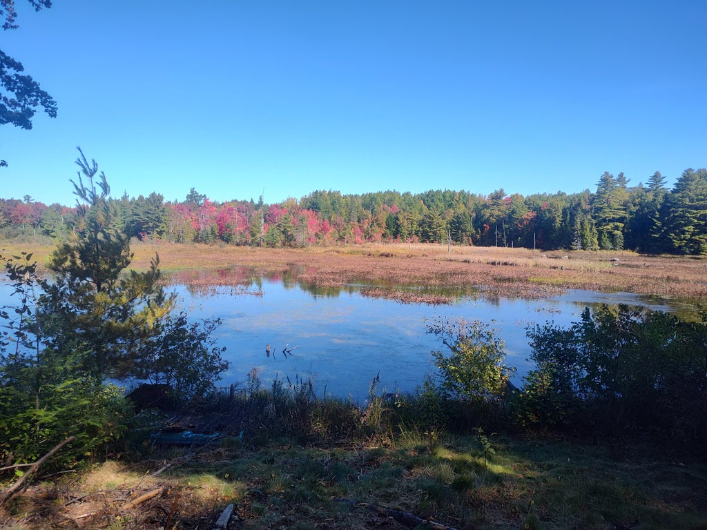 Photo of 215 Woodman Mill Road, Lowell, ME 04493 (MLS # 1682816)