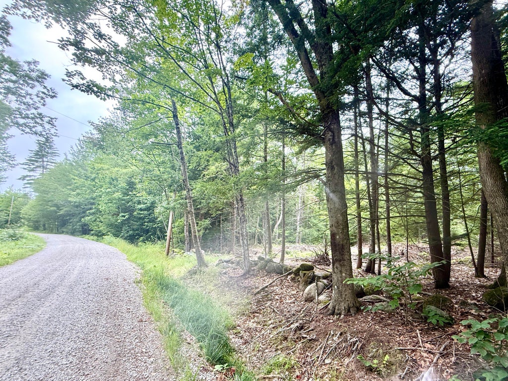Photo of M5 L15-A Tibbetts Road, Mercer, ME 04957 (MLS # 1674059)