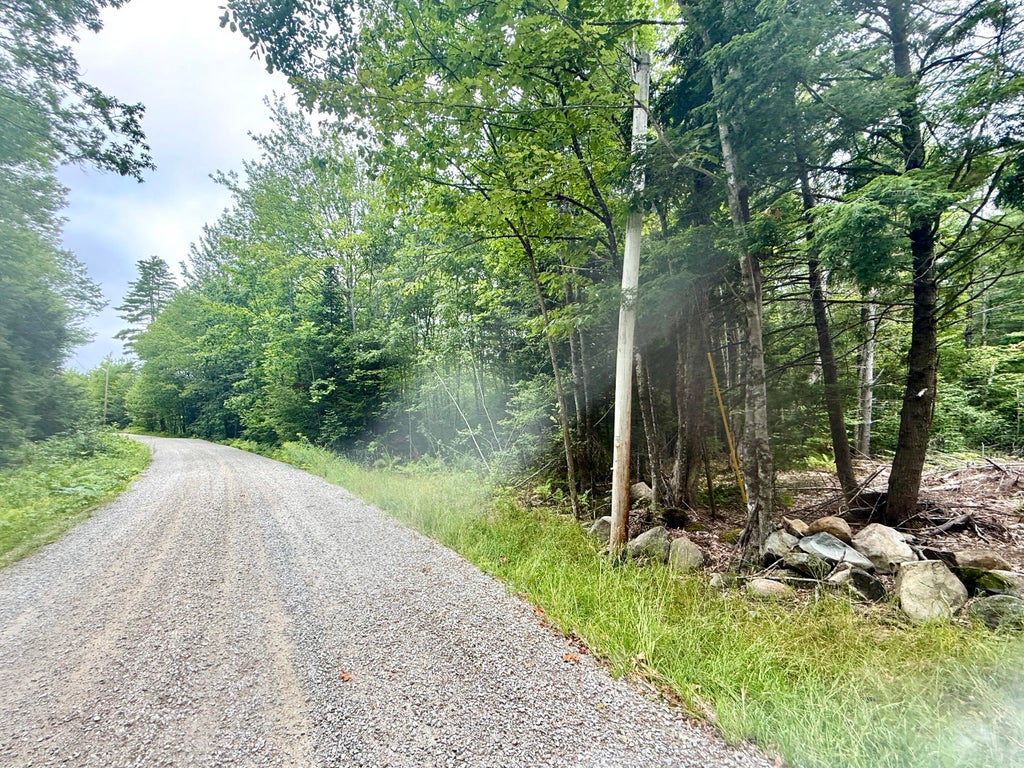 Photo of M5 L15-A Tibbetts Road, Mercer, ME 04957 (MLS # 1674059)