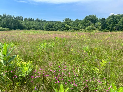 Photo of 869-01 Walkers Mills Road, Bethel, ME 04217 (MLS # 1640820)
