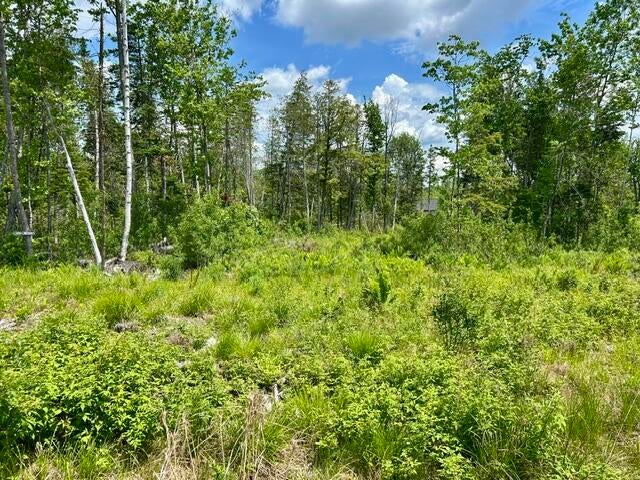 Photo of Lot 2 Hammond Brook Road Road, Monson, ME 04464 (MLS # 1674468)