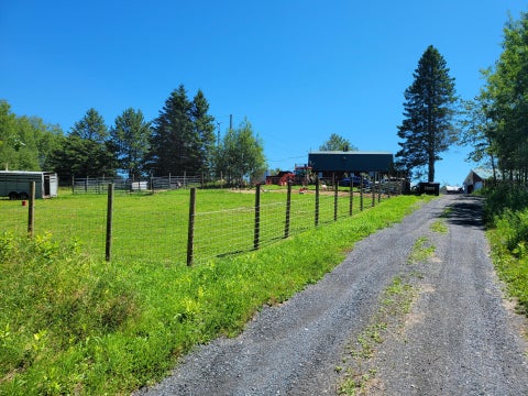 Photo of 108 Cyr Road, Grand Isle, ME 04746 (MLS # 1667860)