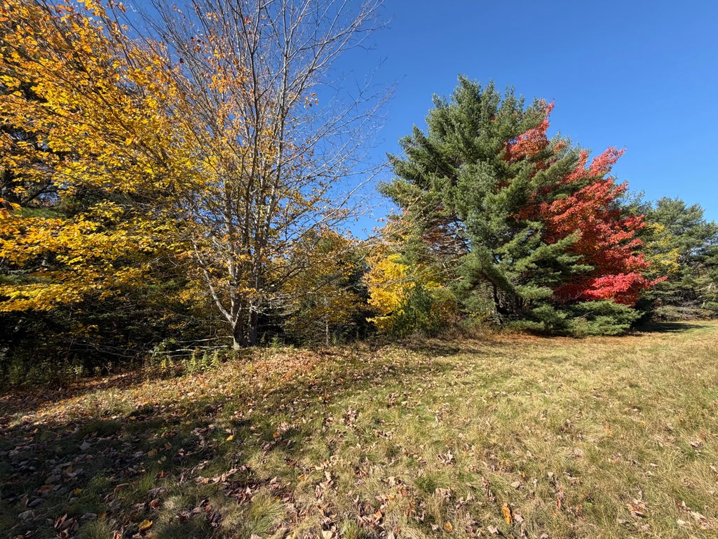 Photo of Map3Lot29A Punkinville Road, Sullivan, ME 04664 (MLS # 1684805)
