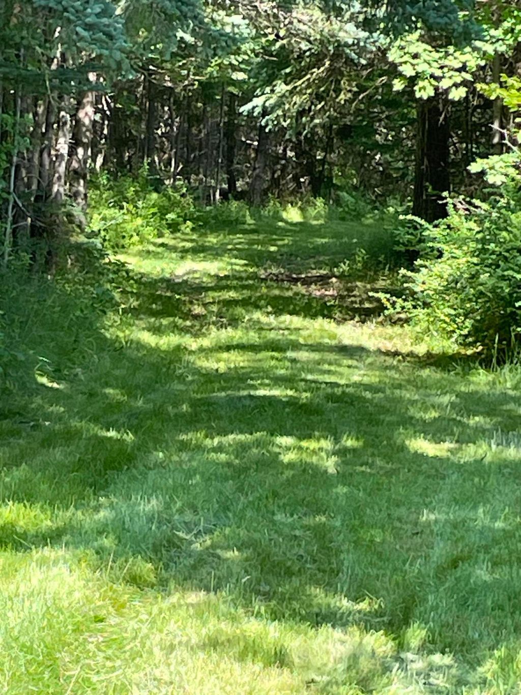 Photo of 9 Ferry Road, Swans Island, ME 04685 (MLS # 1670271)