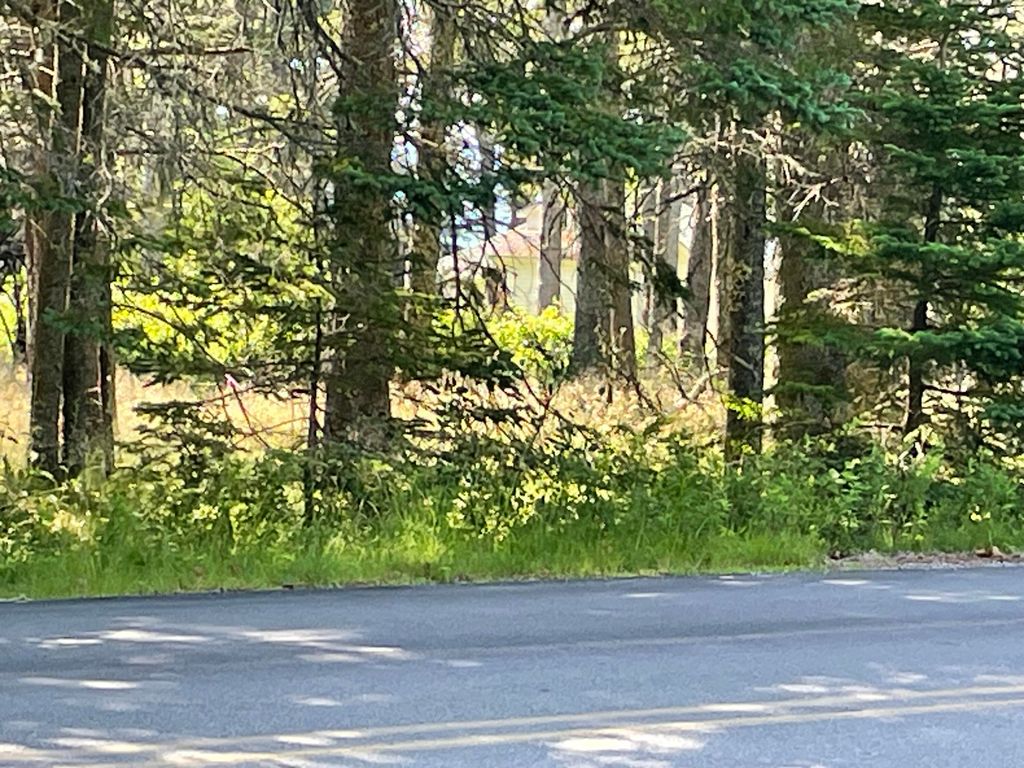 Photo of 9 Ferry Road, Swans Island, ME 04685 (MLS # 1670271)