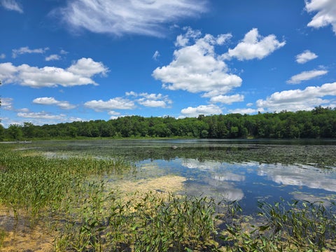 Photo of 91 Frye Road, Somerville, ME 04348 (MLS # 1667504)