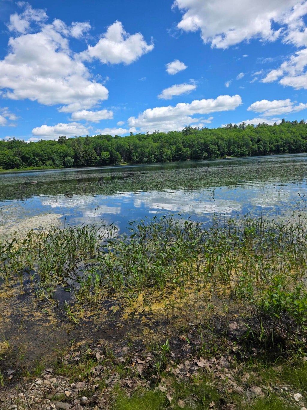 Photo of 91 Frye Road, Somerville, ME 04348 (MLS # 1667504)