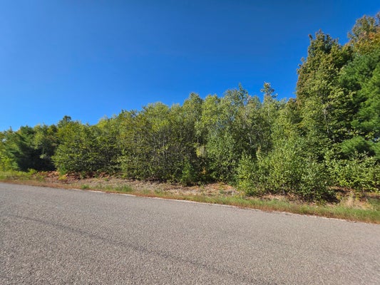301 TAMARACK TRL, BANGOR, ME 04401 - Image 9cd751a5ceec609b11b9d683daeb6d89/667243366
