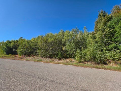 Photo of 301 Tamarack Trail, Bangor, ME 04401 (MLS # 1681360)