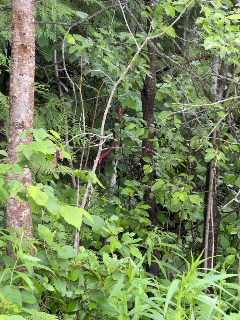 Photo of M3 L7-E Fowler Road, Woodland, ME 04736 (MLS # 1668159)