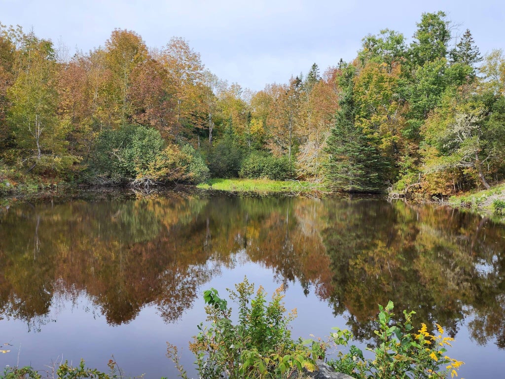 Photo of Lot 52 US- Route 1, Robbinston, ME 04668 (MLS # 1656497)