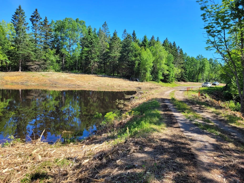 Photo of Lot 52 US- Route 1, Robbinston, ME 04668 (MLS # 1656497)