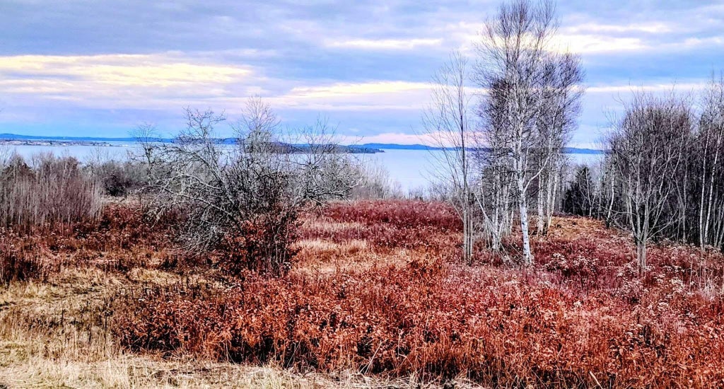 Photo of Lot 52 US- Route 1, Robbinston, ME 04668 (MLS # 1656497)