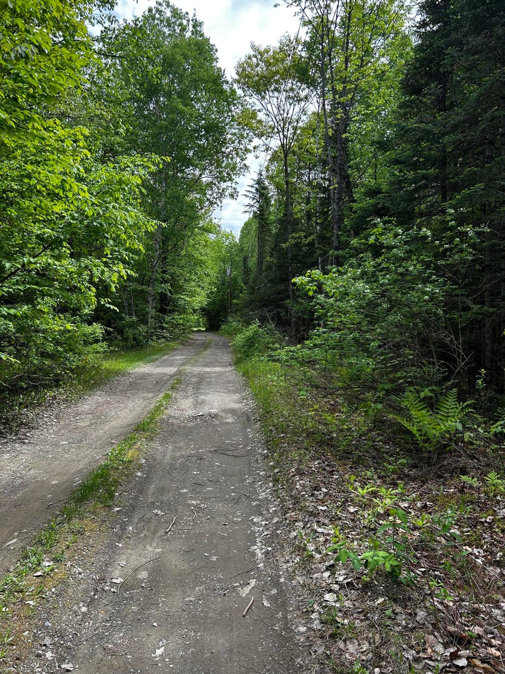 Photo of Lot 9-4 Lilly Drive, Newport, ME 04953 (MLS # 1664819)