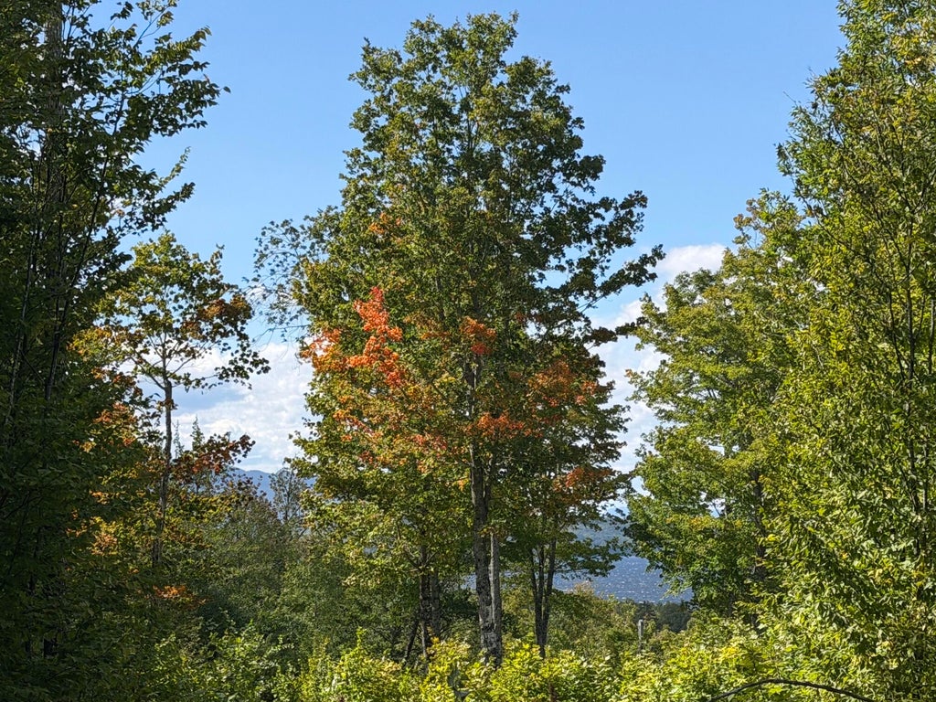 Photo of 37 Bay View Drive, Greenville, ME 04441 (MLS # 1679961)