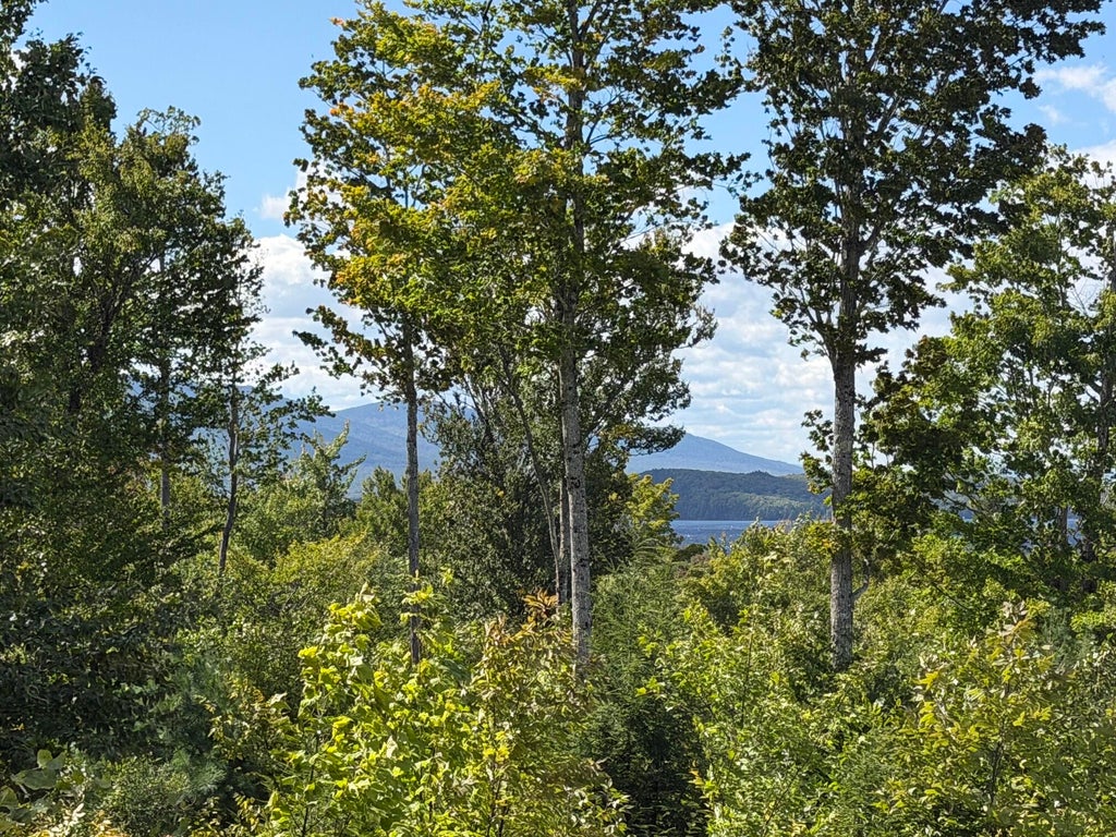 Photo of 37 Bay View Drive, Greenville, ME 04441 (MLS # 1679961)