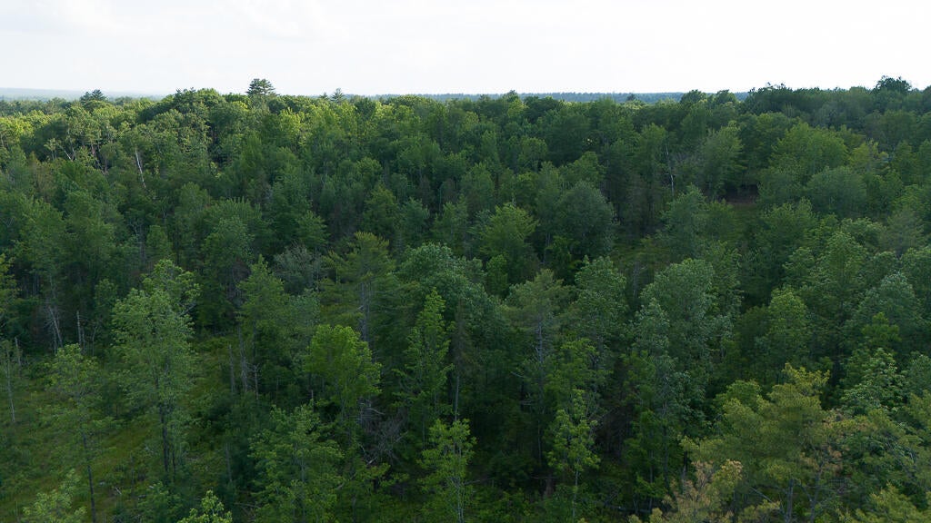 Photo of Lot 1 Pond Road, Burnham, ME 04922 (MLS # 1668119)