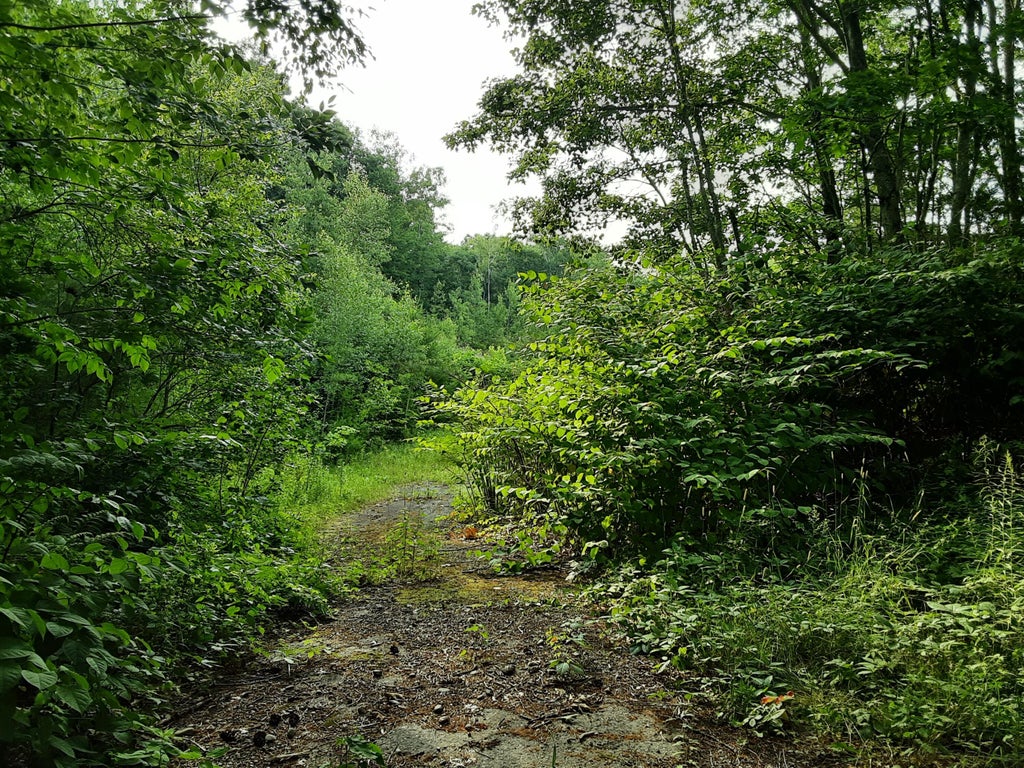 Photo of lot 2 Ridge Road, Jefferson, ME 04348 (MLS # 1671396)