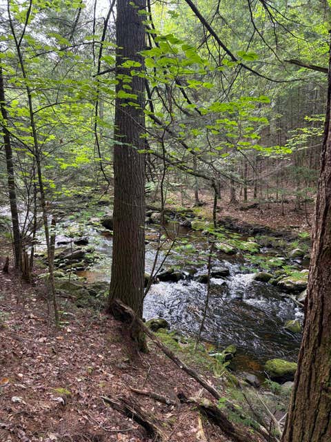 Photo of 5 Bog Brook Loop, West Paris, ME 04289 (MLS # 1657424)