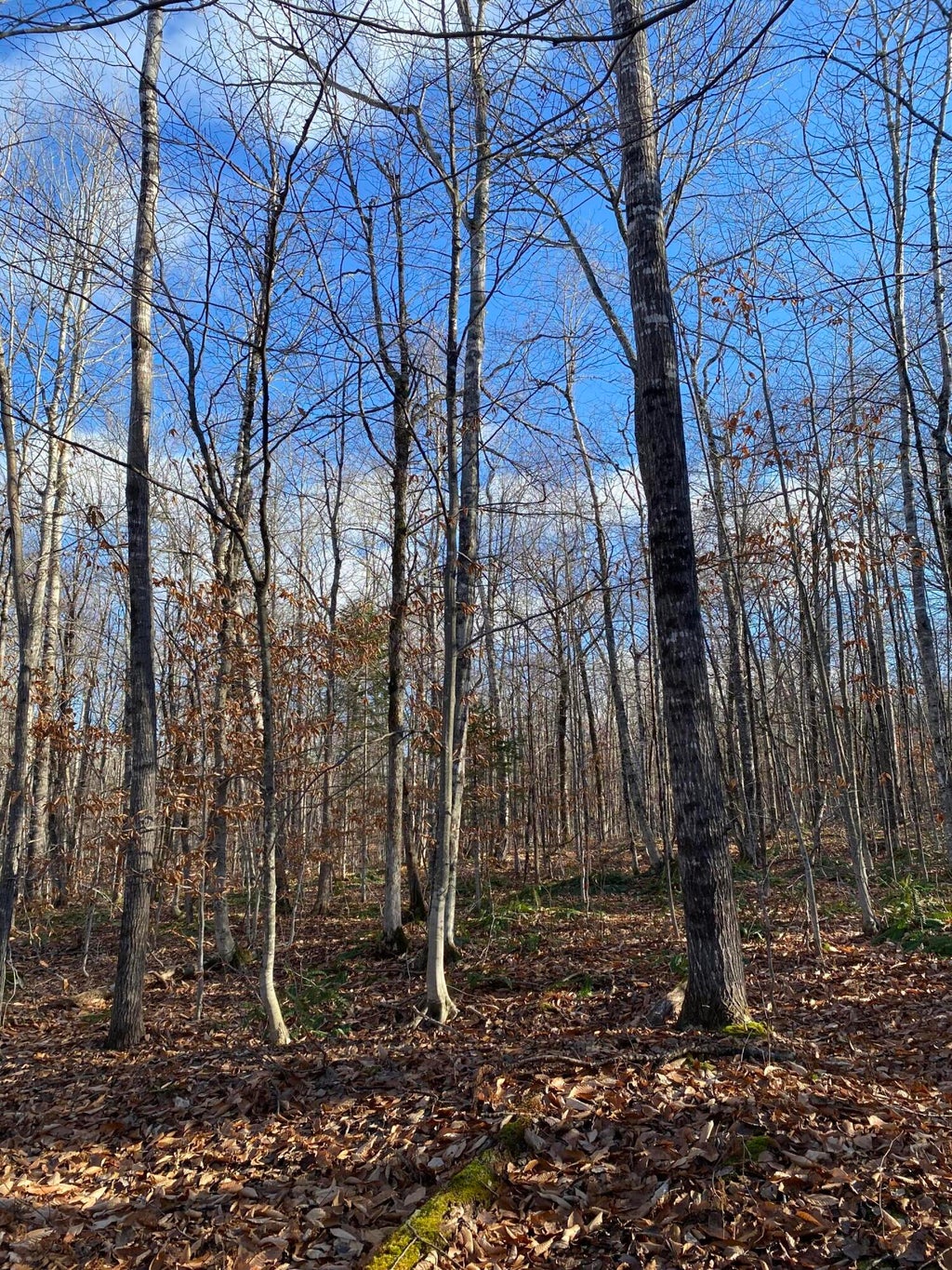 Photo of Lot 023 Pleasant Ridge Road, Dexter, ME 04930 (MLS # 1665895)