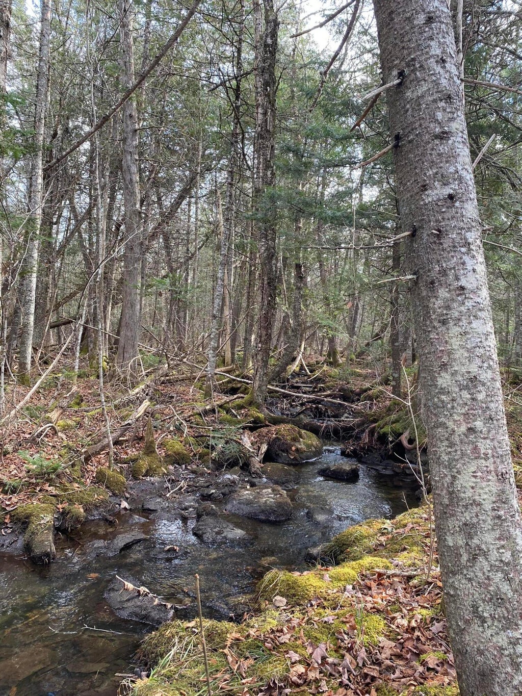 Photo of Lot 023 Pleasant Ridge Road, Dexter, ME 04930 (MLS # 1665895)