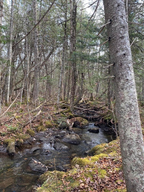 Photo of Lot 023 Pleasant Ridge Road, Dexter, ME 04930 (MLS # 1665895)