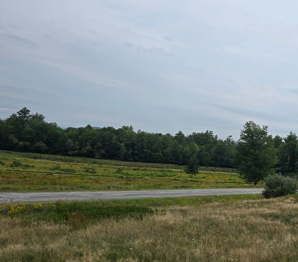 Photo of Lot 20-54 Butters Drive, Norway, ME 04268 (MLS # 1680015)